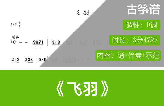 飞羽（D调古筝谱+伴奏+示范）