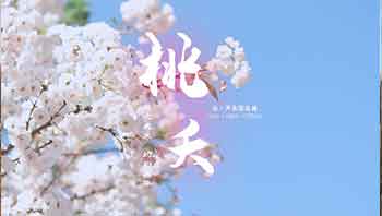 桃夭（古筝演奏：泓·声乐团)