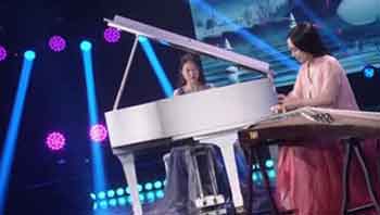 陆游与唐琬（演奏：白洋）