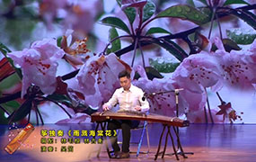 雨溅海棠花（演奏：吴笛）