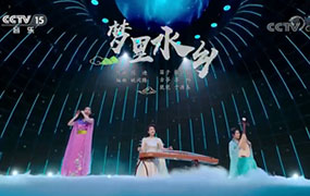 梦里水乡（演奏：苏畅）